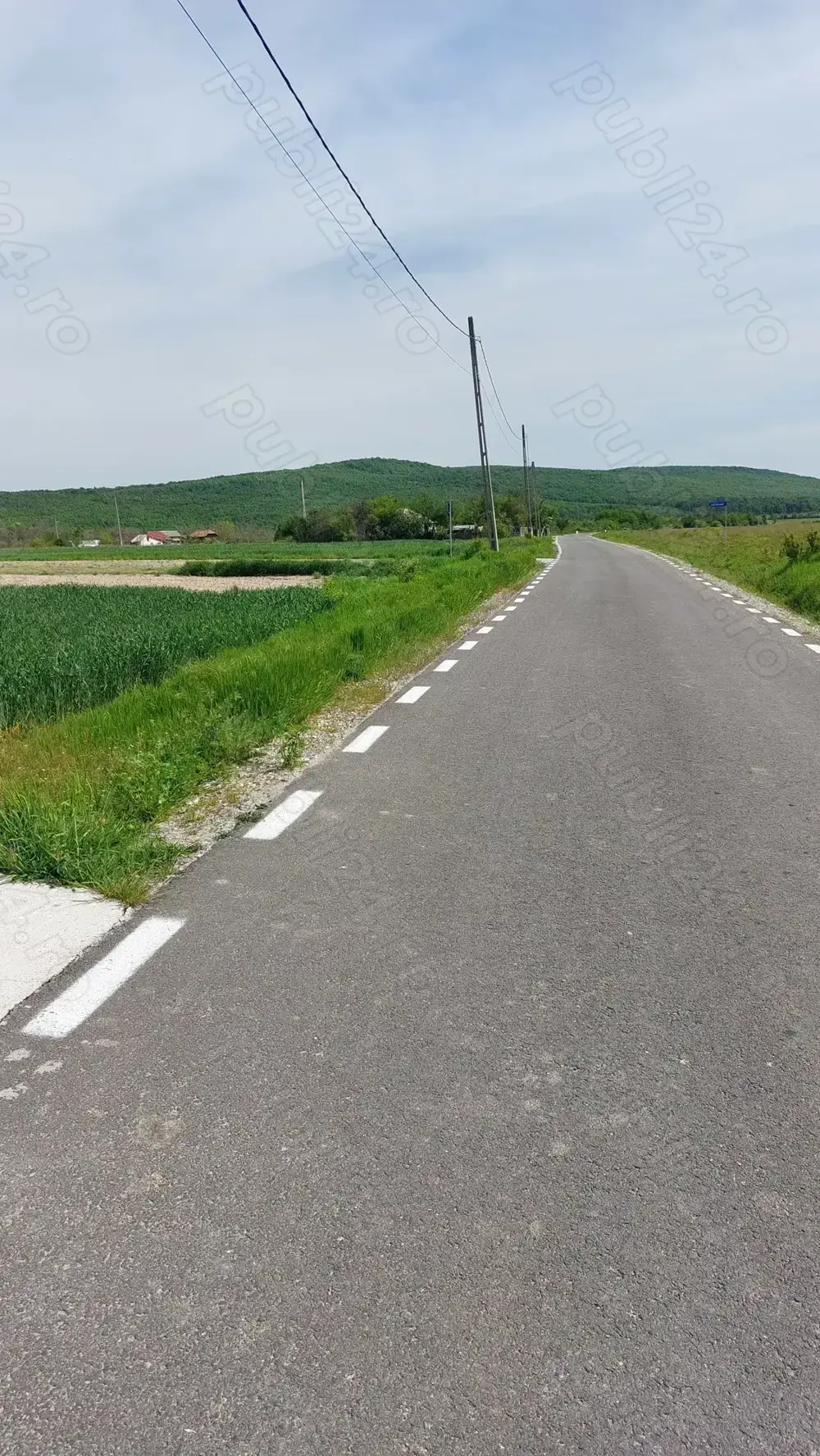 Teren de vanzare in Dealul Mare,localitatea Galicea 