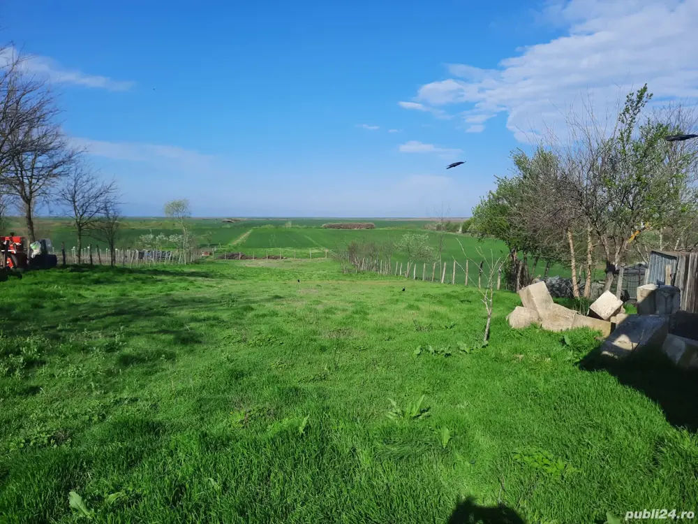 colaborare în diverse afaceri