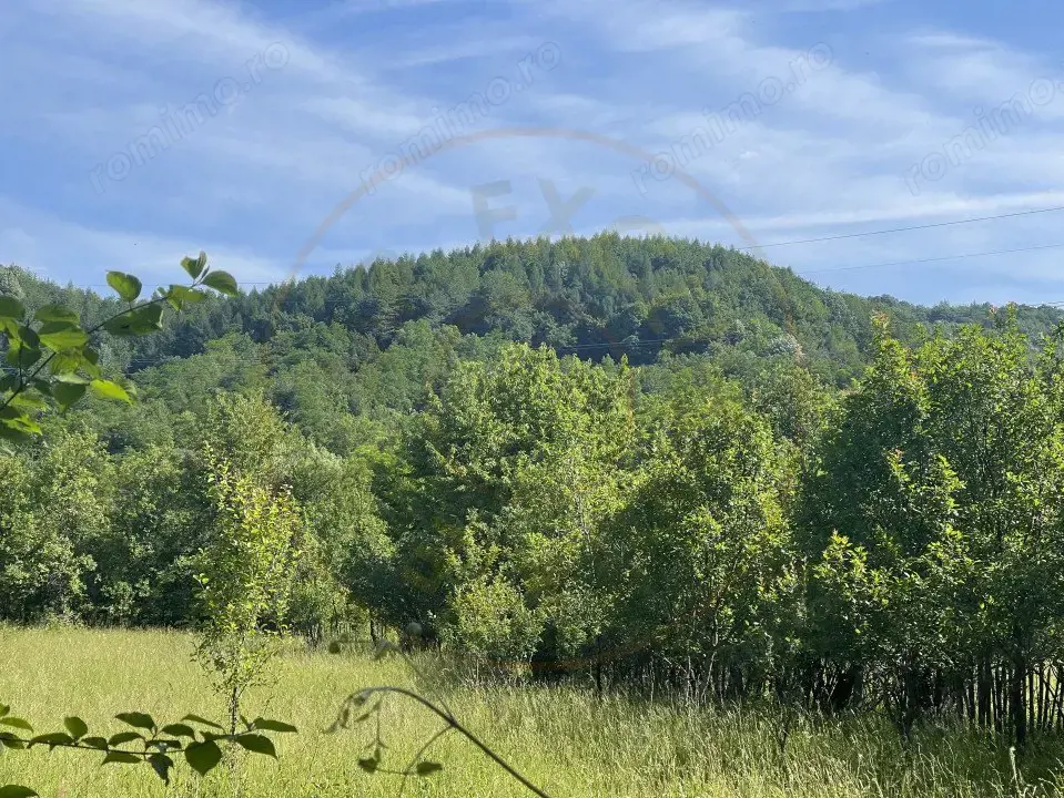 Teren Premium 1559 mp, Brebu Manastirei – Refugiu Montan la 120 km de Bucuresti,