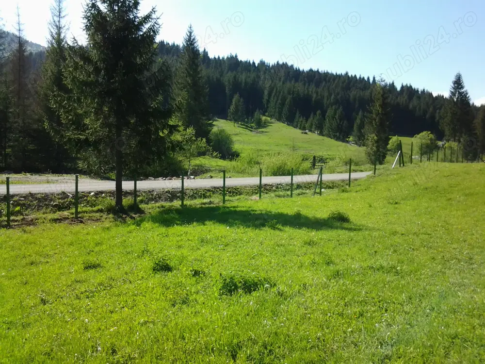 Vând  12.500 mp teren extravilan Lunca Ilvei Bistrita Nasaud 