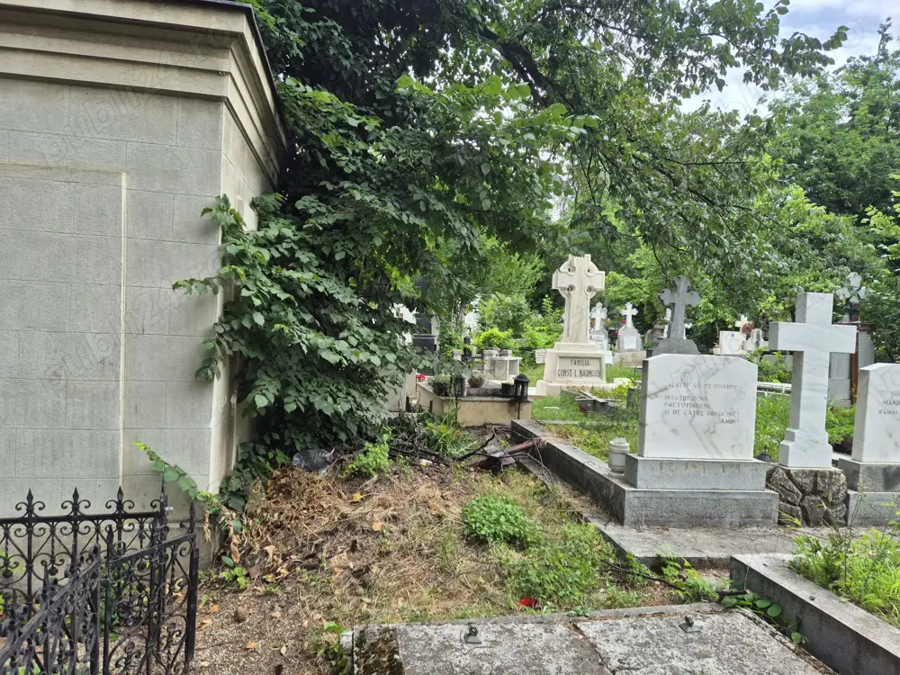 Concesionez loc veci cimitirul Bellu