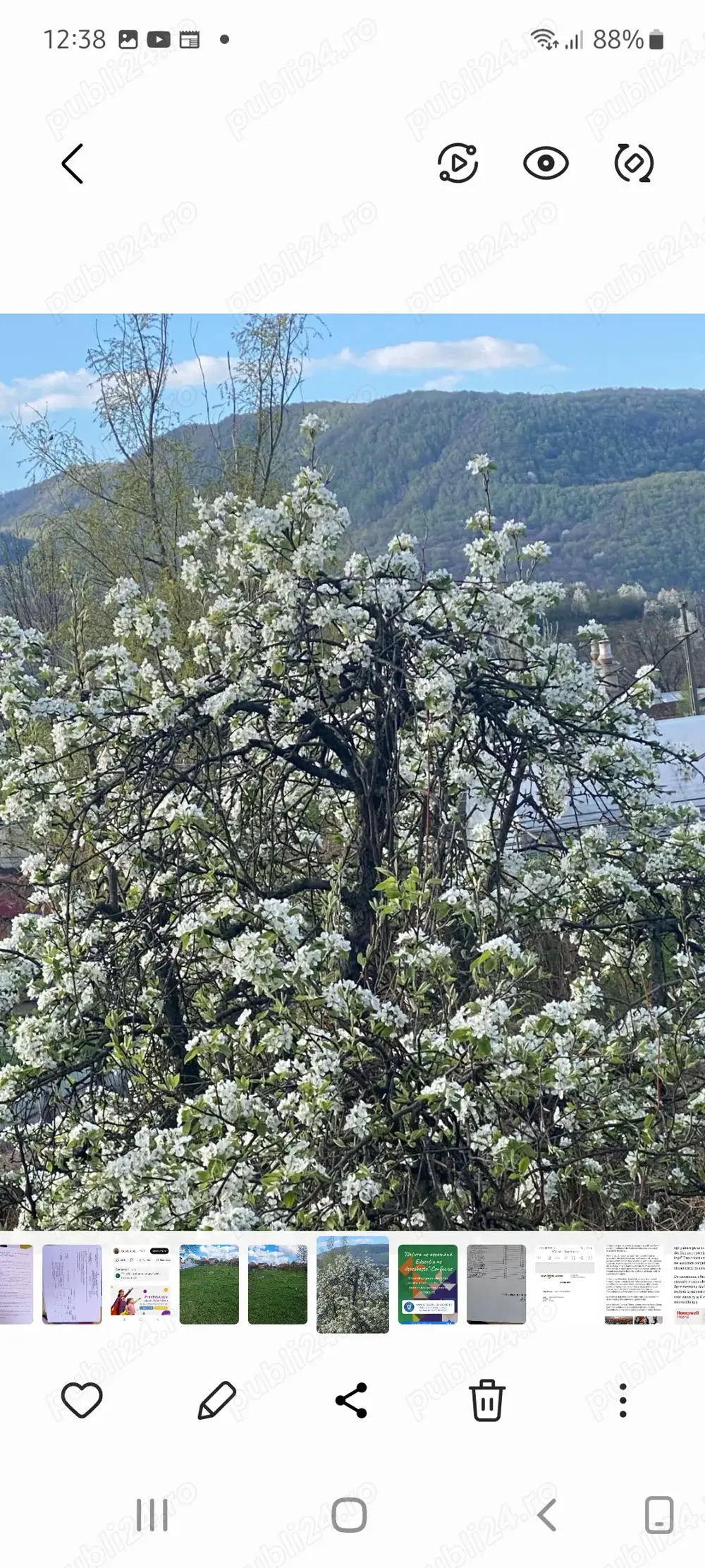 Vând teren în zona Gălean Vând teren în zona Gălean