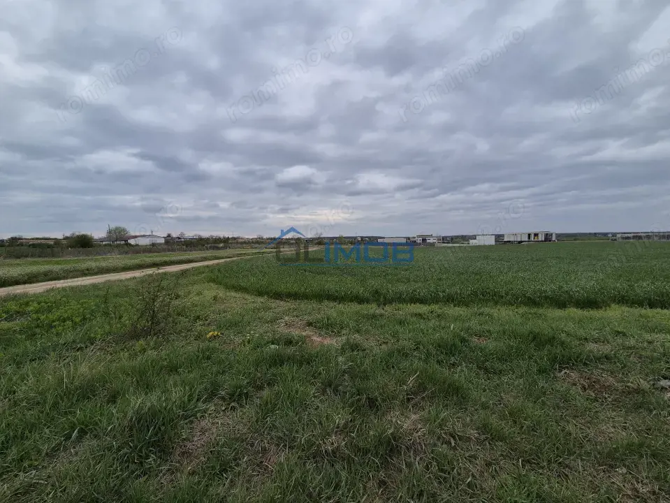  Teren intravilan Izvorani - Delta Snagov 