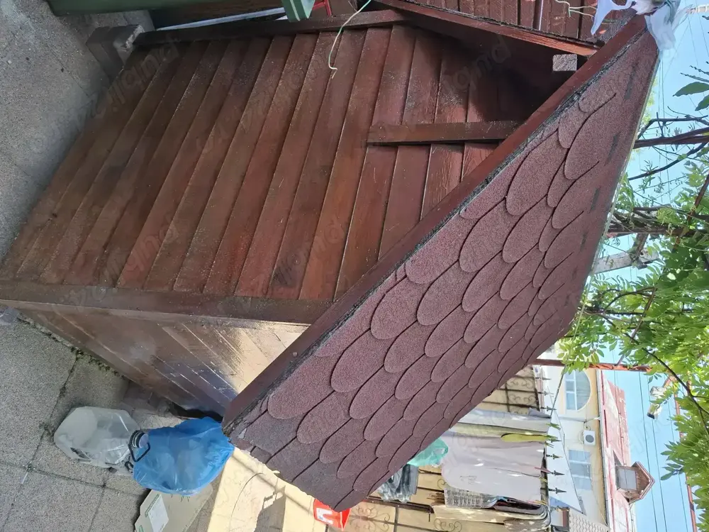 Vand cotet caine talie mare