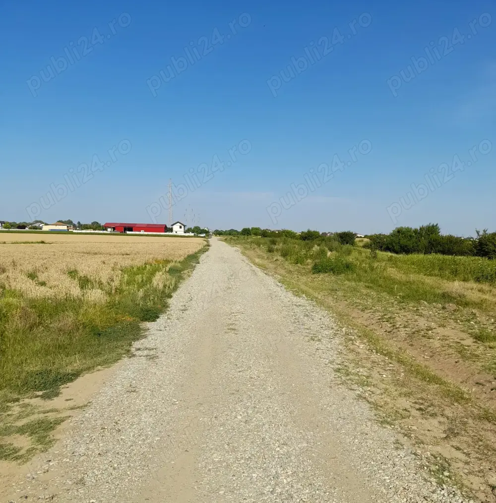 Teren de vanzare - comuna Ciorogarla