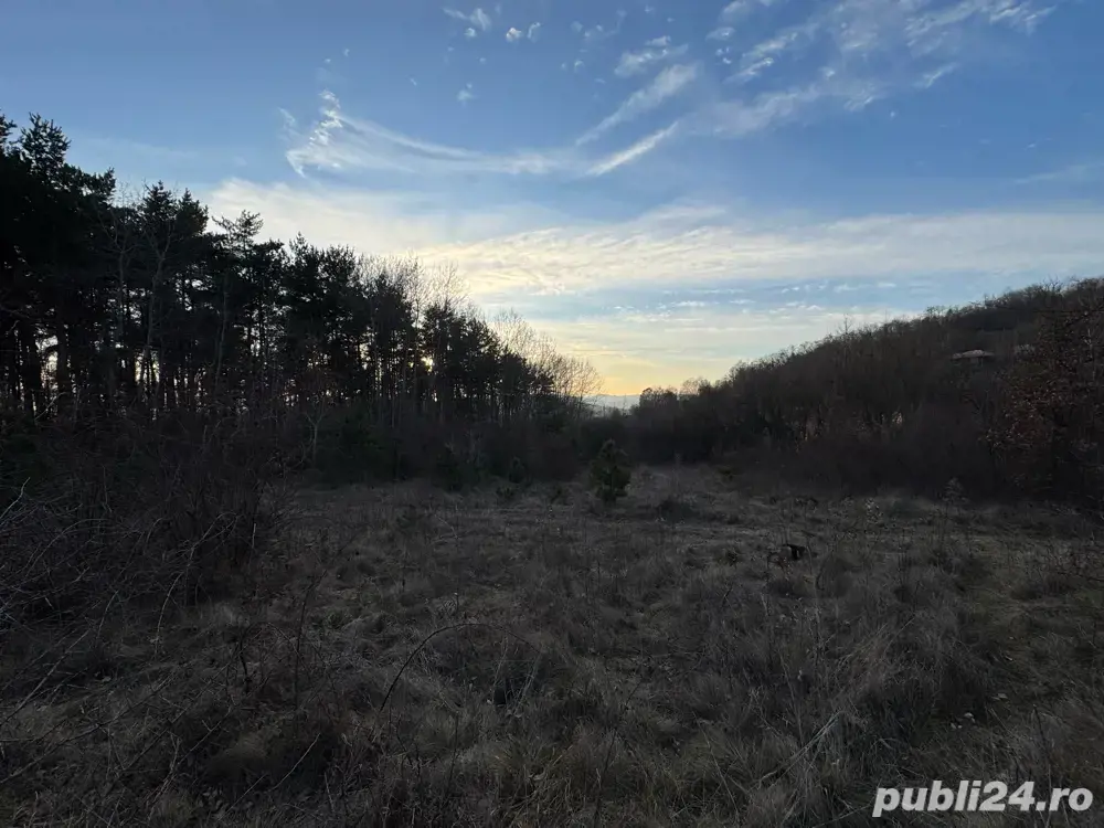 Vand teren extravilan situat intre Deva si satul Cozia