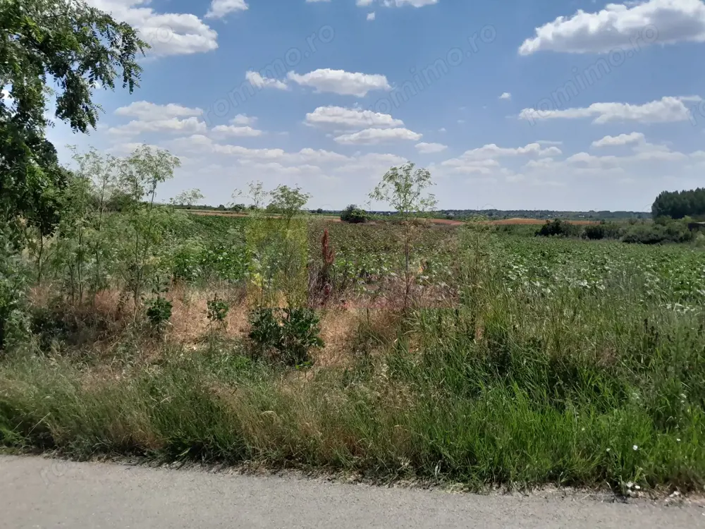 TEISORI /GR - 2 LOTURI LIPITE (TOT. 16500 MP) DE VZ 100K EUR NEG TEISORI /GR - 2 LOTURI LIPITE (TOT. 16500 MP) DE VZ 100K EUR NEG