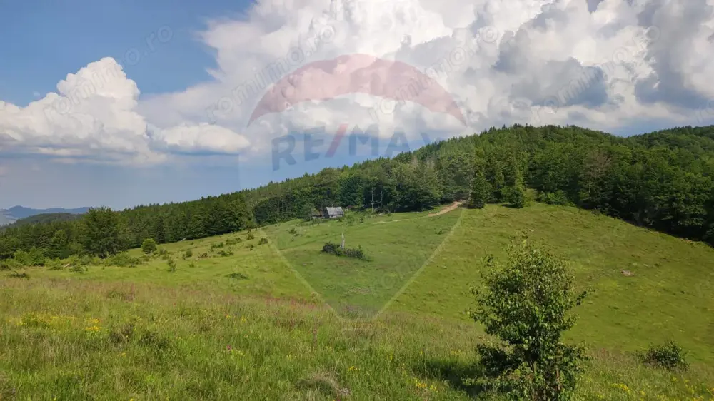 Teren 130000 mp extravilan, faneata si padure, Munteni - Bulz, Negreni