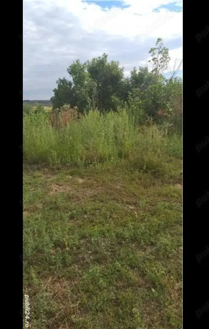 Teren intravilan Husasau de Tinca Bihor 