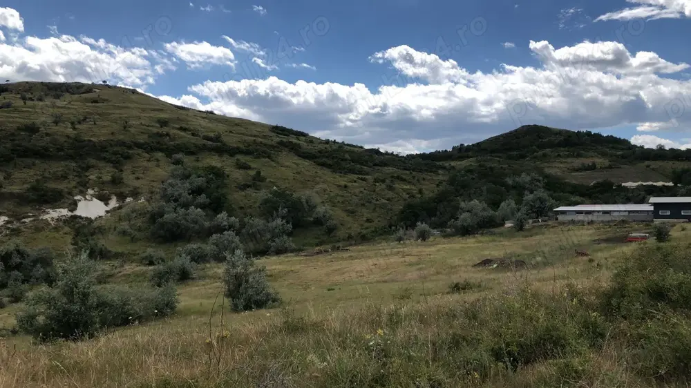 Vanzare 50 Ha pasune, judetul Prahova