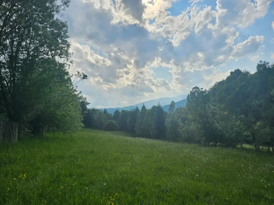 TEREN DE VANZARE APROAPE DE PADURE 