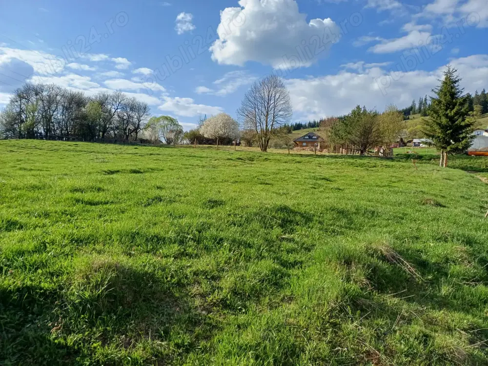 Loturi de teren intravilan Vatra Dornei