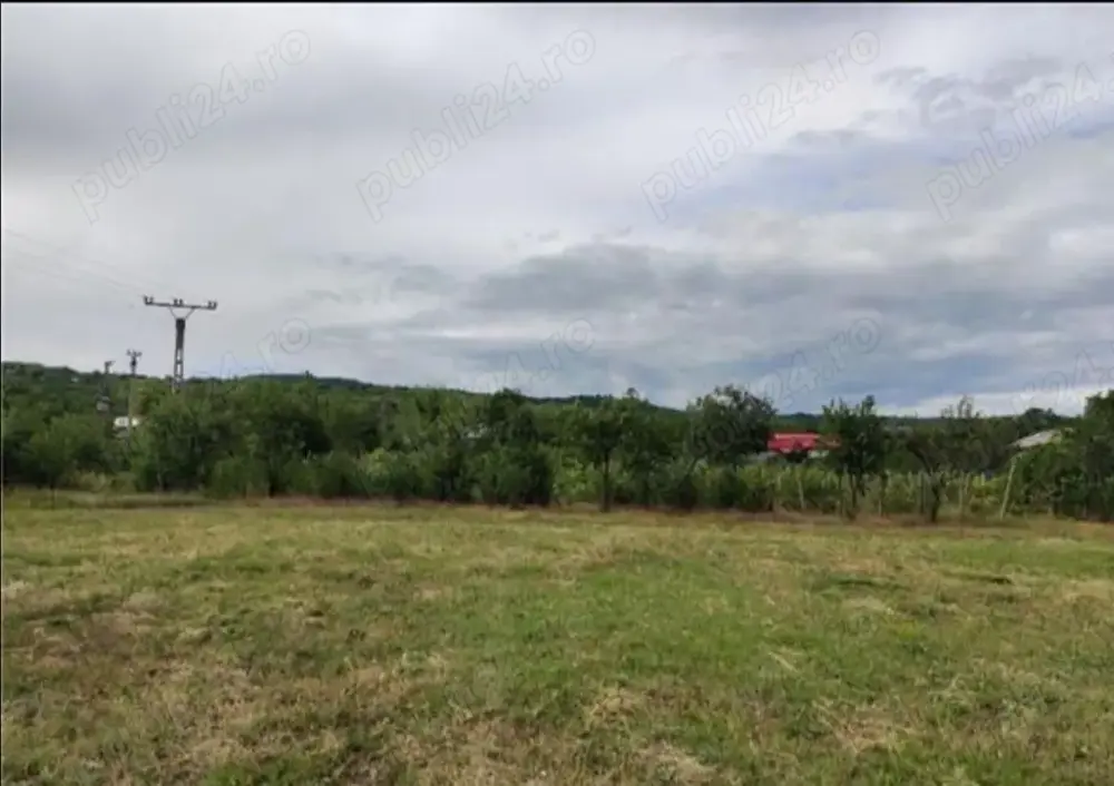 De vanzare teren 6600m pietroasele 