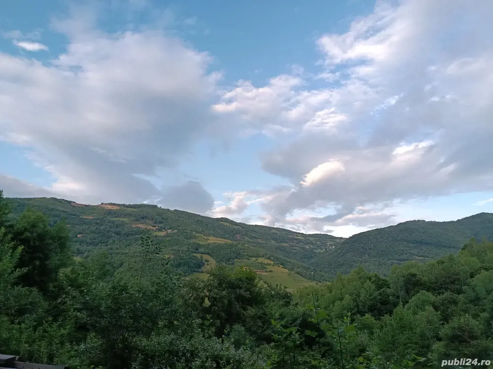 Vând teren muntele rece Vând teren muntele rece