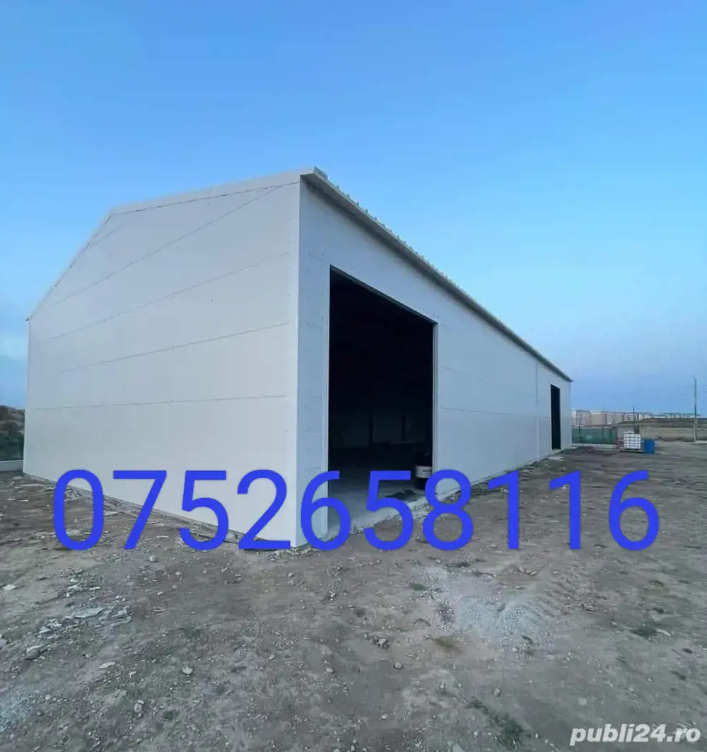 execut hale metalice