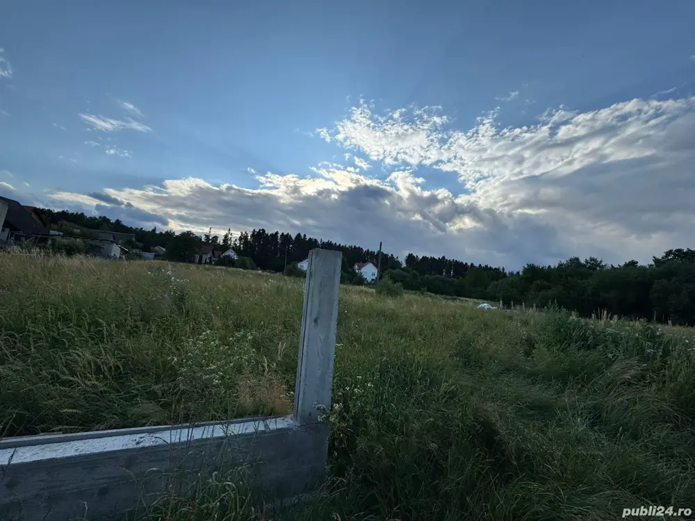 teren de vanzare 32 ari