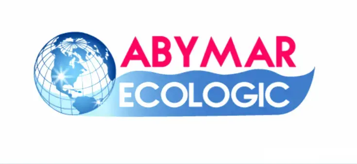 Angajez sofer categoria B livrator covoare