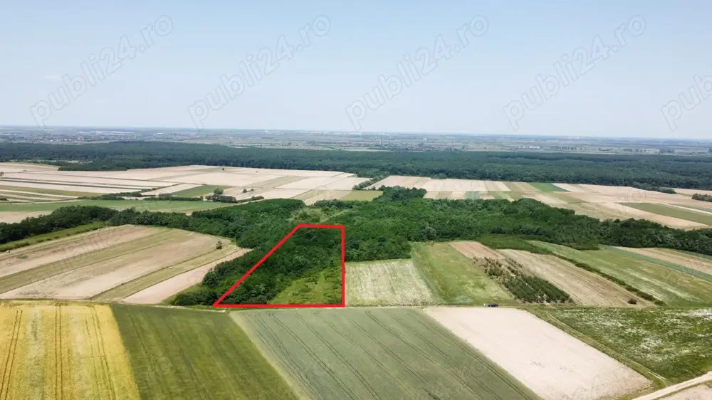 Teren de vanzare - 15.740 mp | Viile Satu Mare | Priveliste superba 
