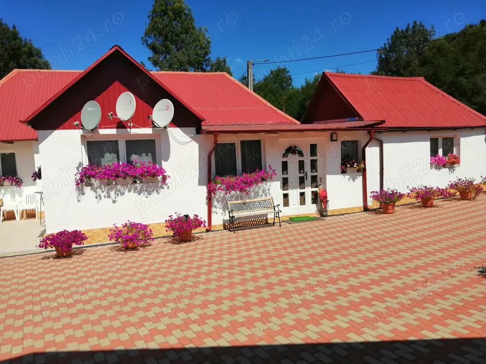 2 Case de vanzare