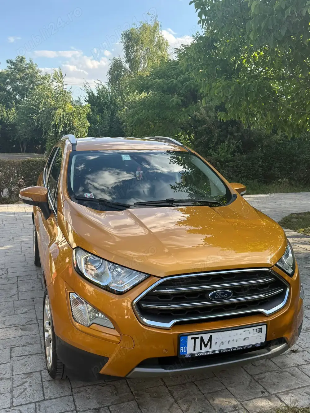 Ford EcoSport 39000  km -  primul proprietar