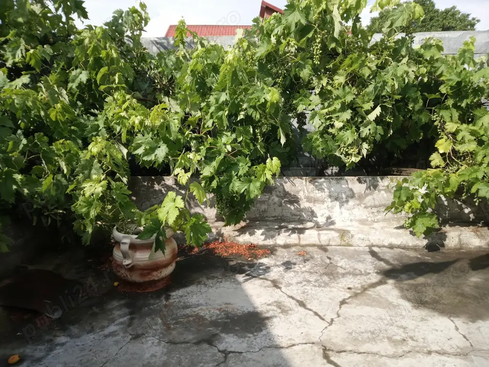 Casa de vanzare pe str.Mihai Bravu 