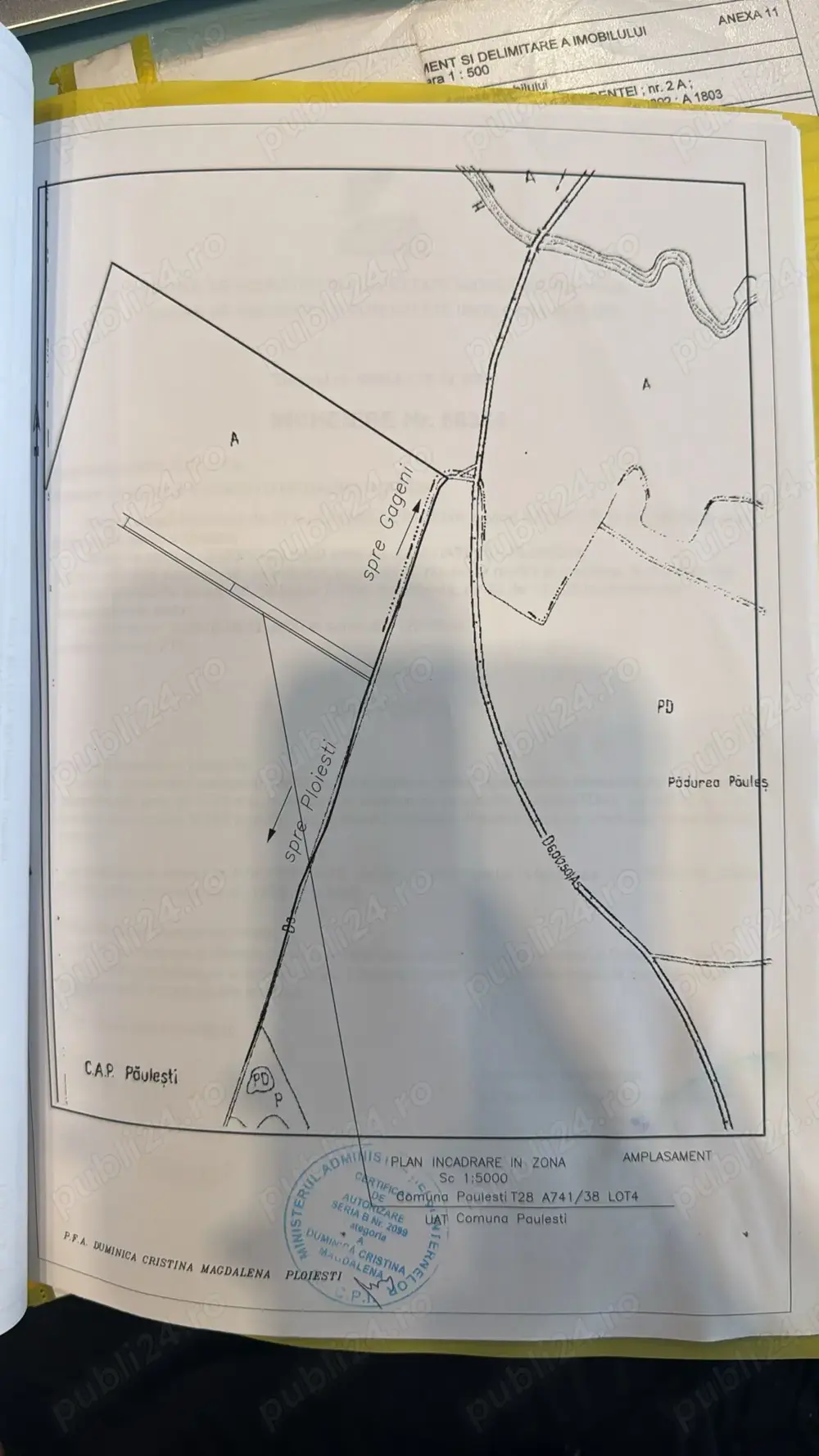 Teren 2.300 mp intravilan, cartier Magnolia Paulesti, 5 km de Ploiesti
