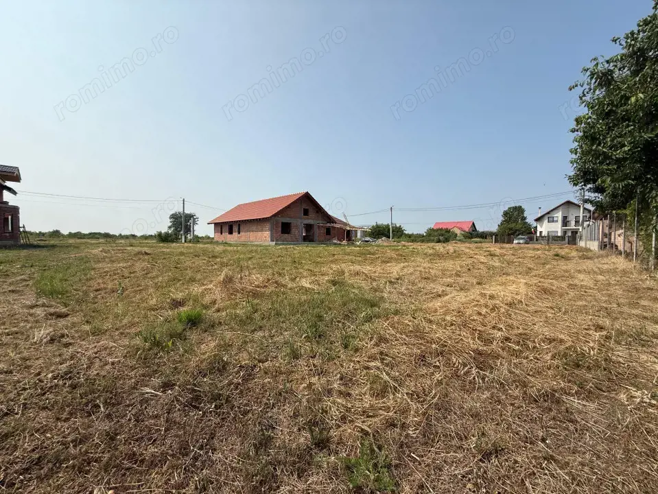 Inchiriem viitorul pe metru patrat, teren 800 mp, intravilan- Peciu Nou