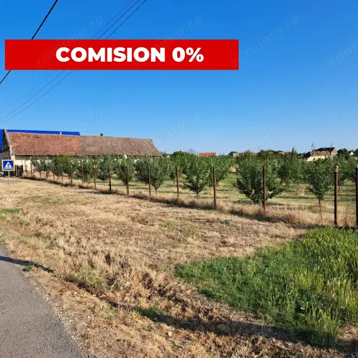 Teren cu livadă și Casă veche în Șandra