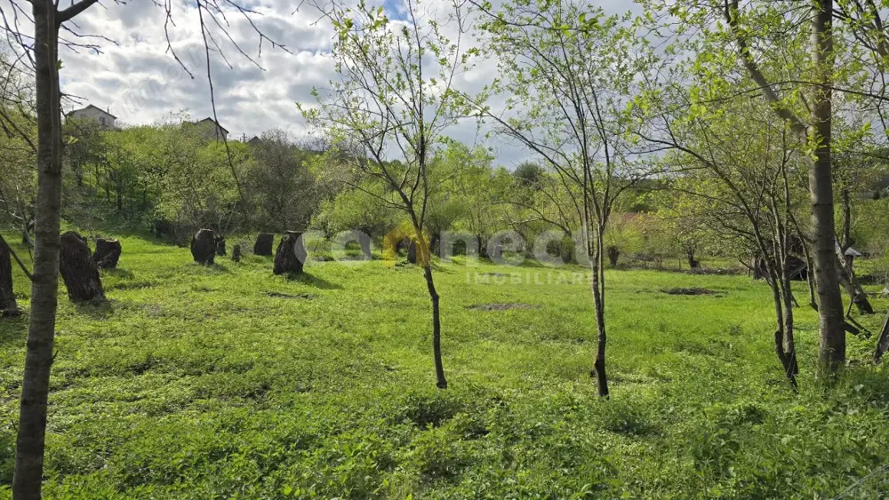 De vânzare teren superb în Ciurila – 500 mp de liniște, verdeață și potențial