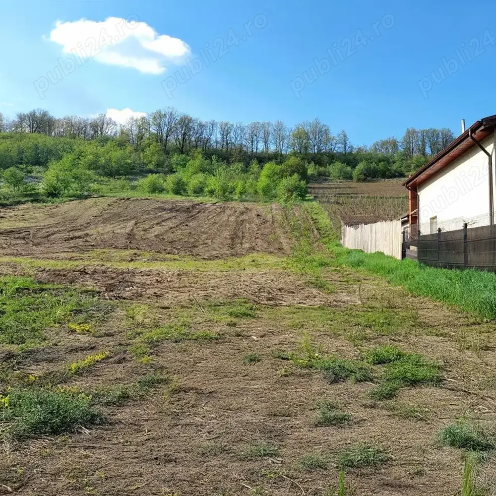 Teren de vinzare. 