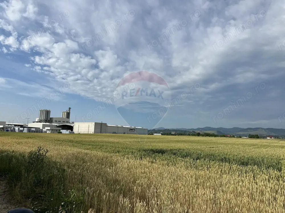 Teren zona industriala Roznov