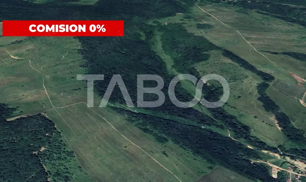 Teren extravilan cu padure de vanzare 12,7 hectare in judetul Sibiu