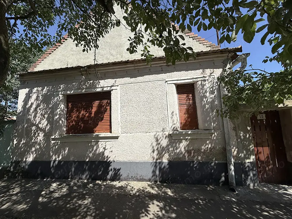 Casa veche cu teren de 2585 m - Biharia 