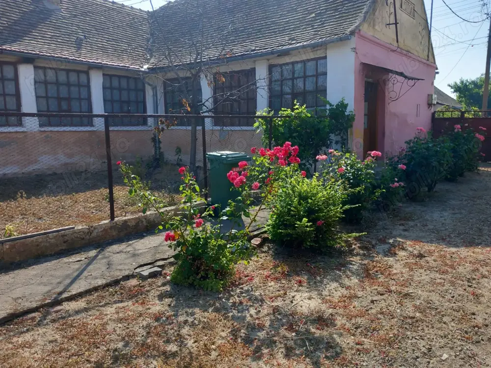 Casă bătrânească cu teren generos 2877 mp în satul Brestea (comuna Denta, județul Timiș)