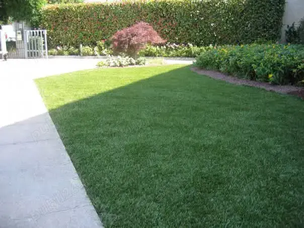 Spații verzi: toaletare garduri vii, arbori, arbuști, întreținere gazon, sisteme de irigat 