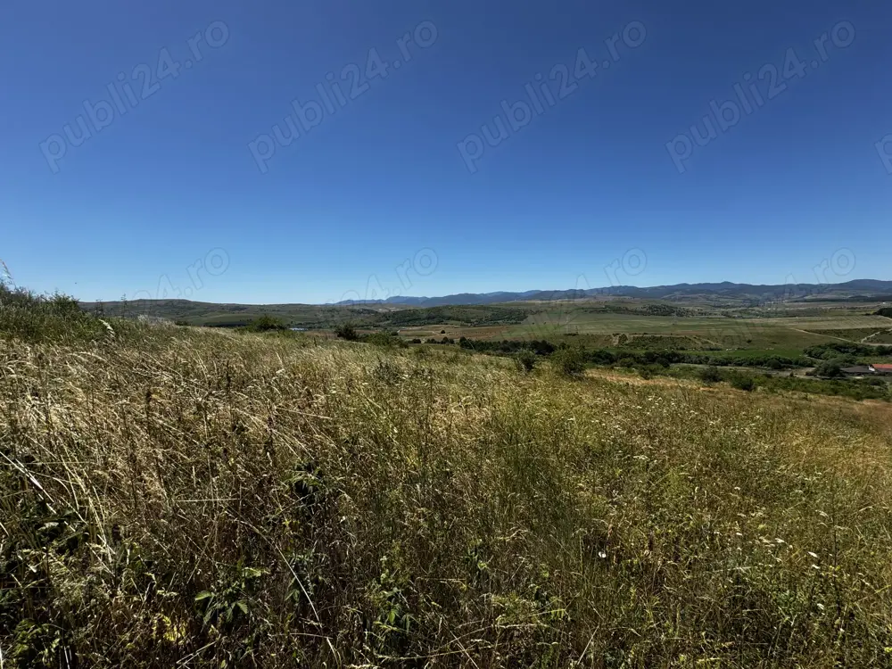 Teren de vânzare   Ciurila, extravilan