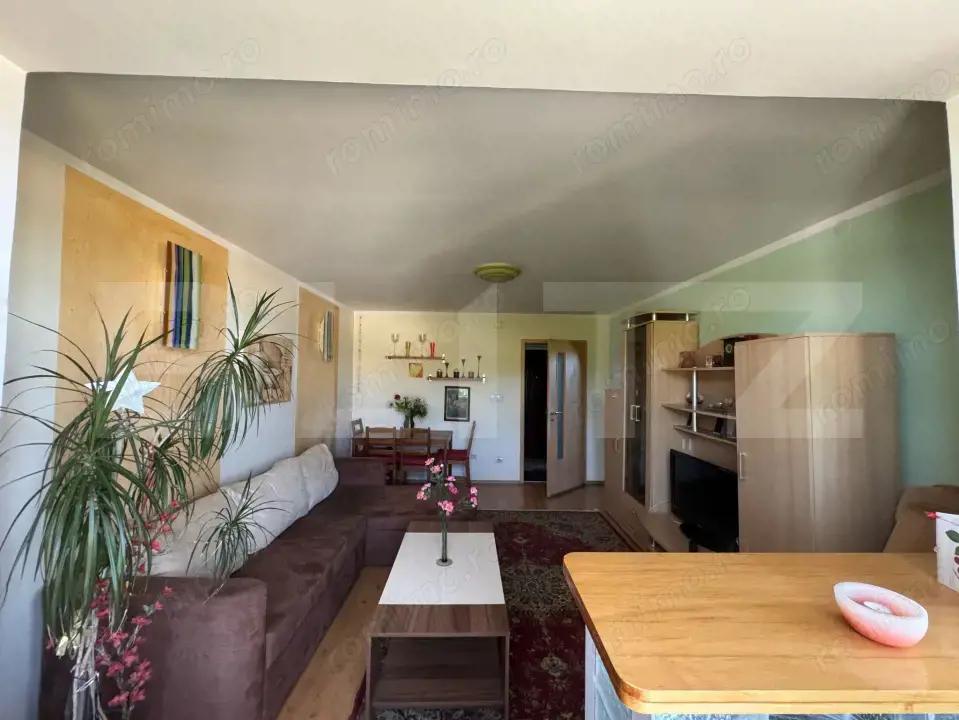 Apartament cu 2 camere, 46,33 mp, zona Brad