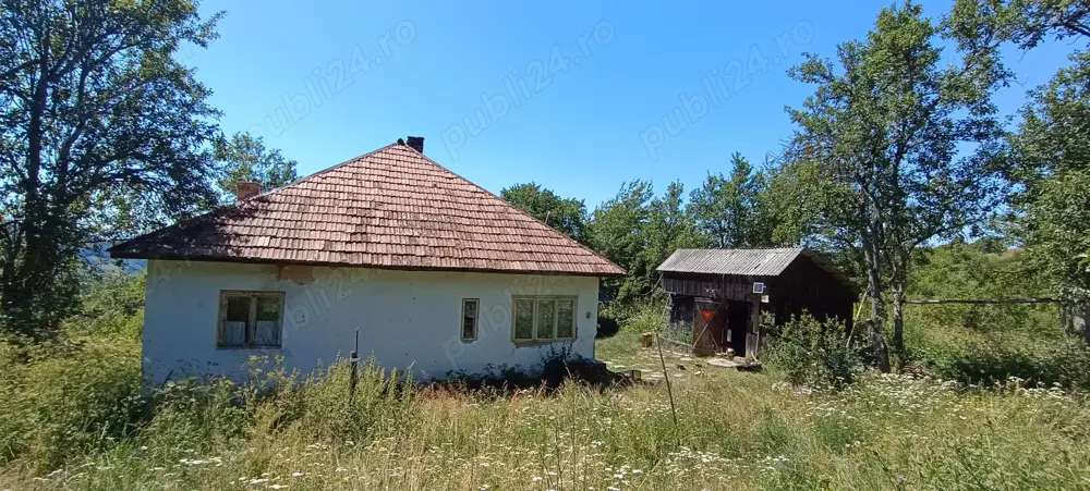 De vânzare casă + 80000 mp .