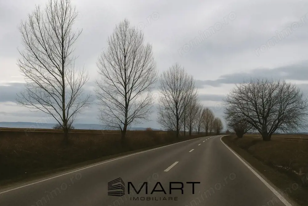 Teren intravilan 10.000mp la drum Calea Surii Mici