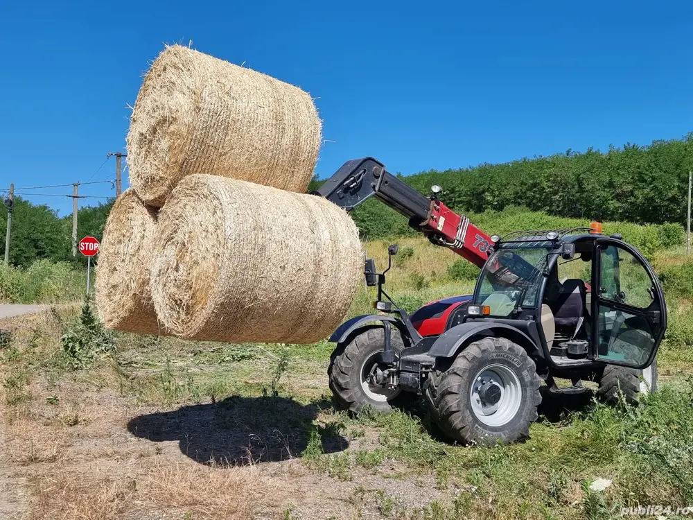 baloti paie grau - orz