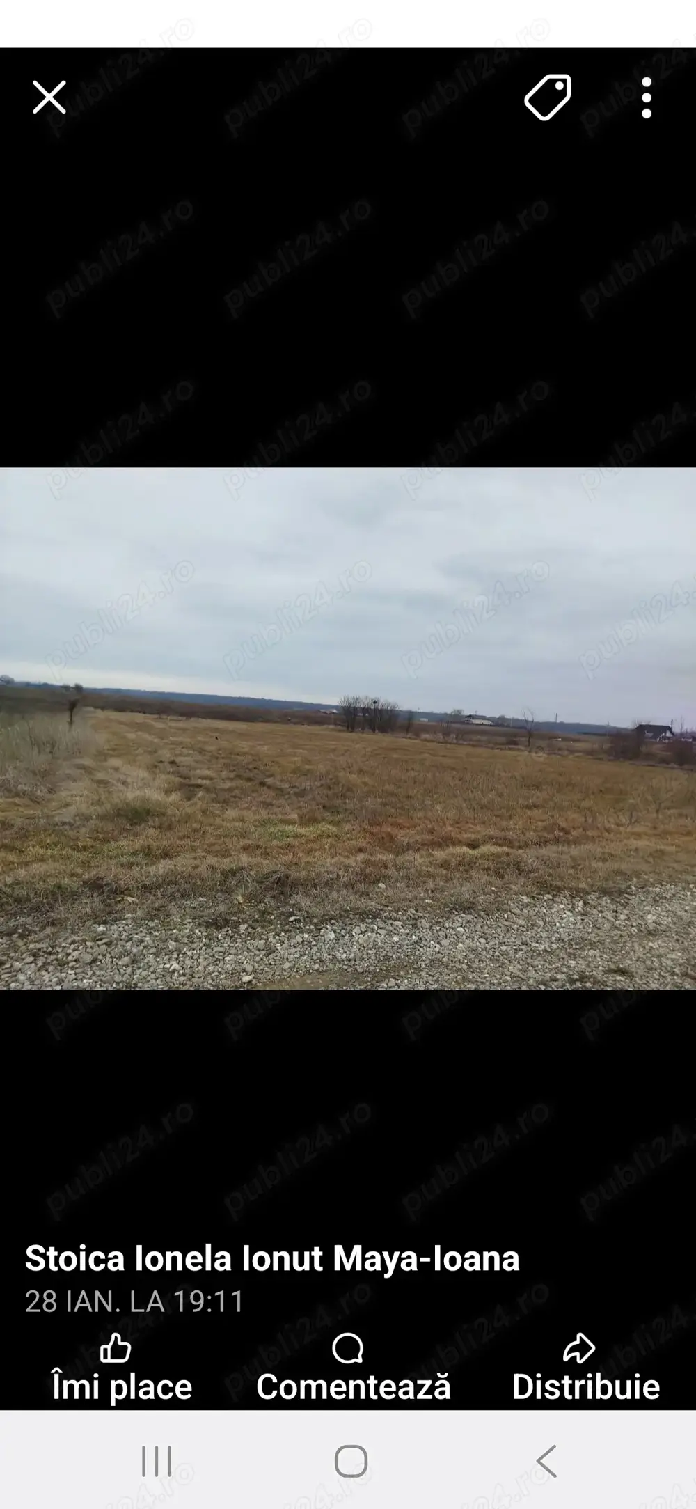 Teren de vinzare gradistea