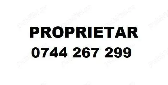 Proprietar Lipovei 1100 Lei