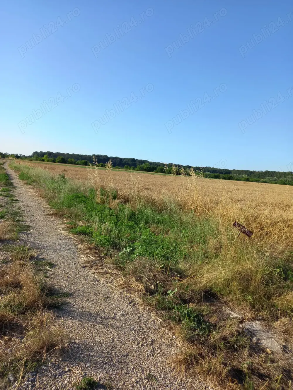 Vand teren 1h in Peris sat Balteni