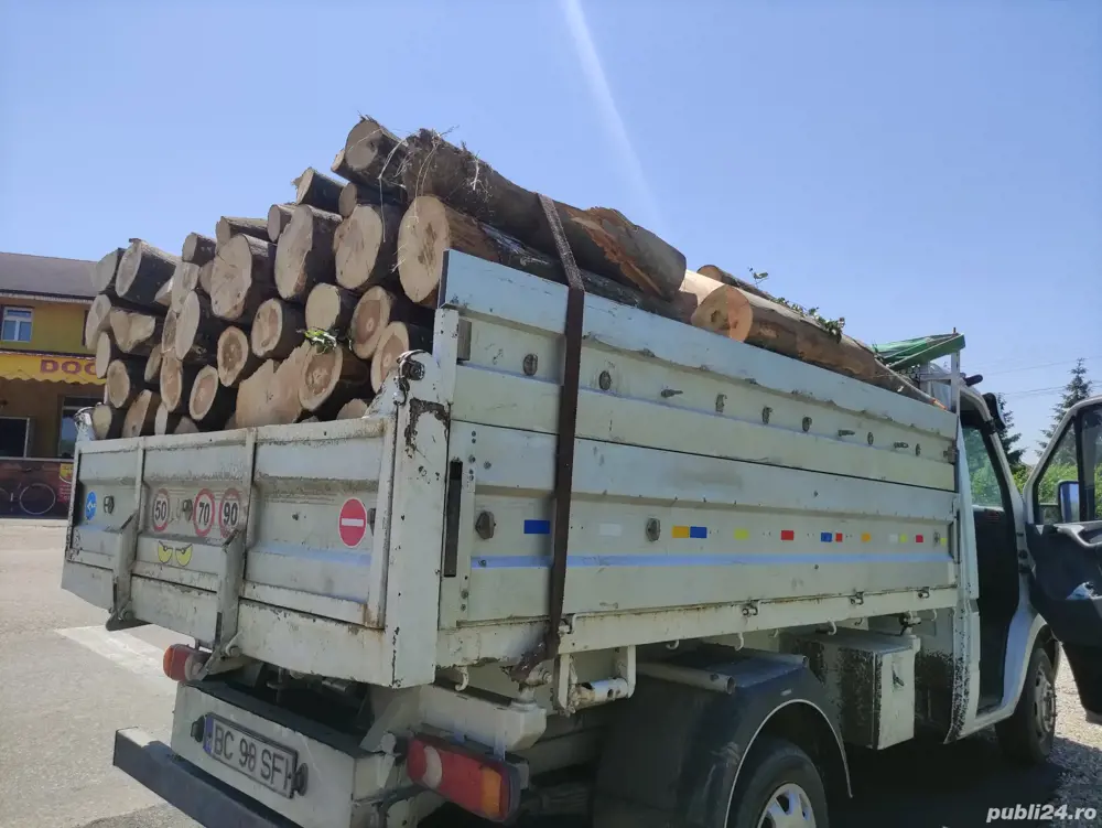 SC depozit vinde lemn de foc Fag carpen stejar 