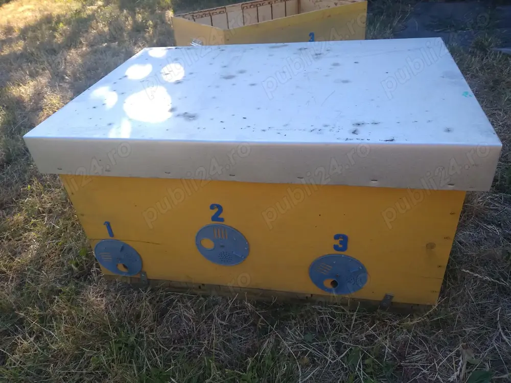 lazi   nuclee de albine   matci