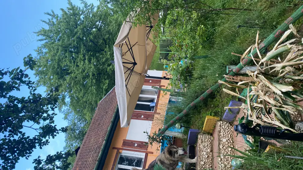 Vând casă de vacanță sau schimb cu apartament Vând casă de vacanță sau schimb cu apartament