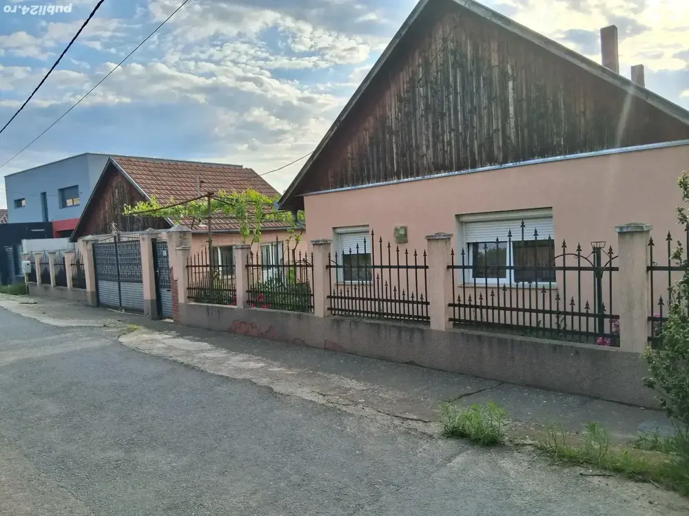 2 Case de vanzare in Paleu-zona Stadionului de Fotbal  