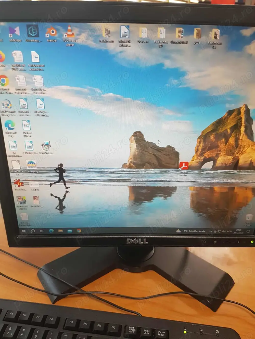 Monitor Dell Lcd 17 inch