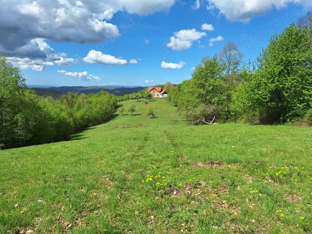 Vand teren extravilan 4.6 ha