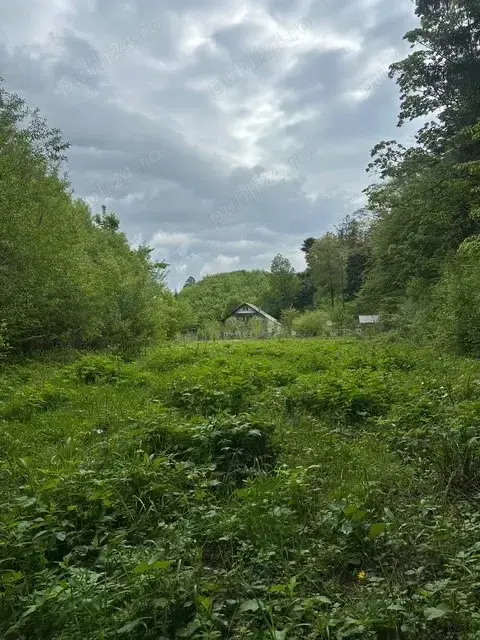Vand teren extravilan zona usor accesibila, zona Colonia Mina 1 Mai